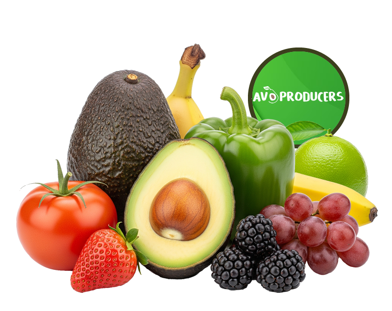avoproducers